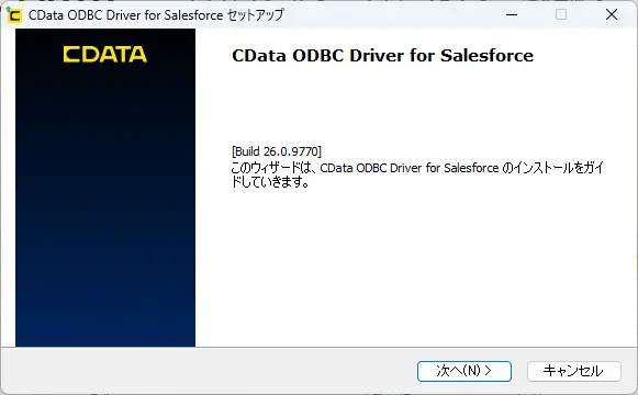 CData ODBC Driver for Salesforce セットアップ