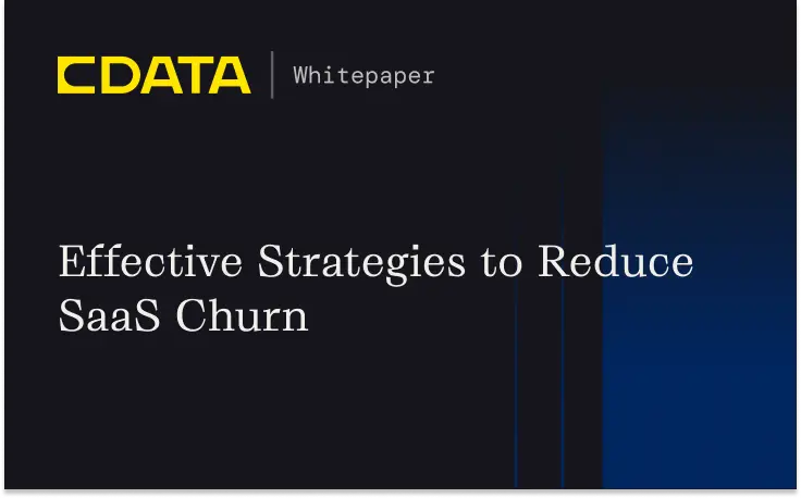 Effective Strategies to Reduce SaaS Churn