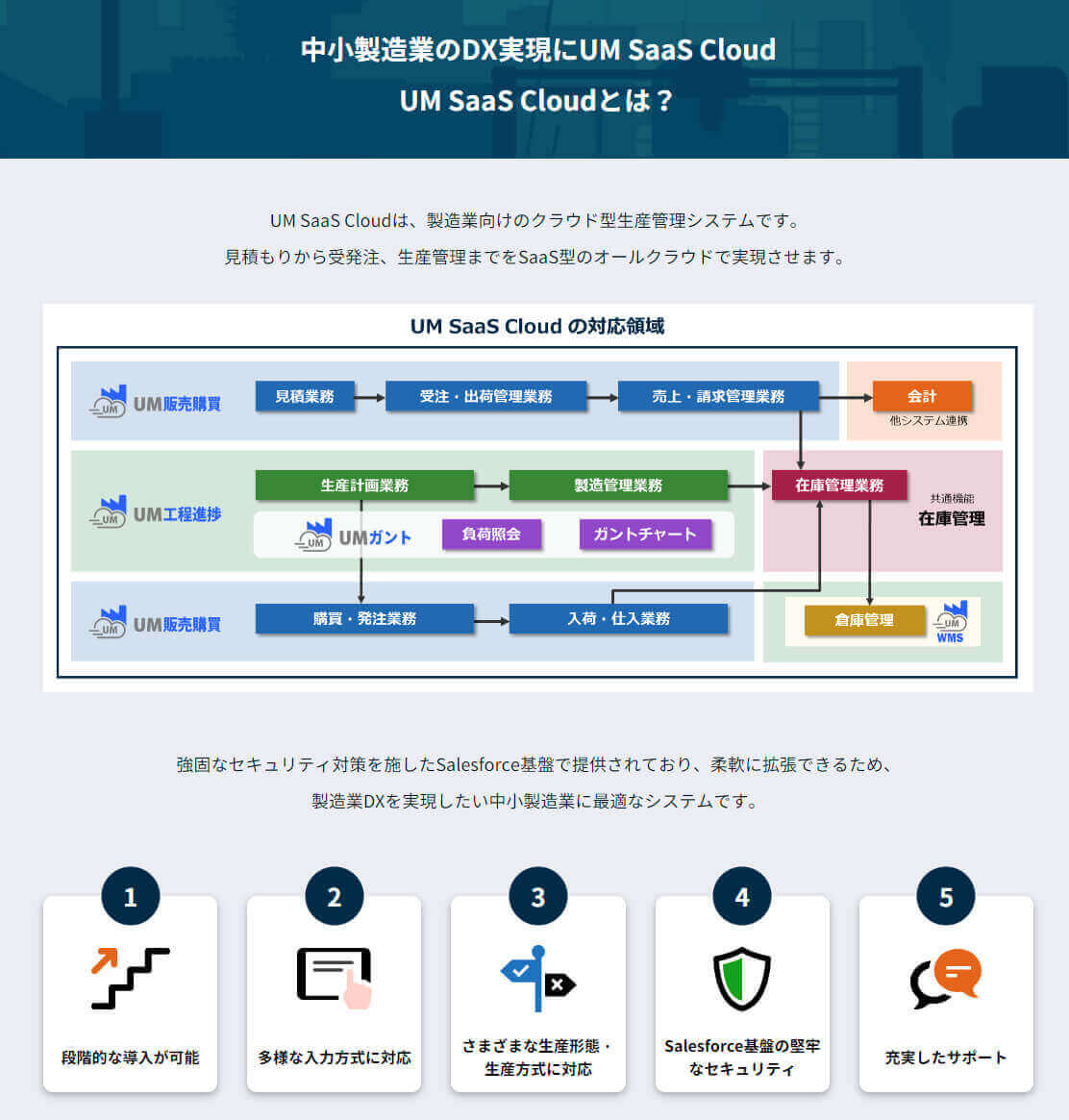 UM SaaS Cloud とは