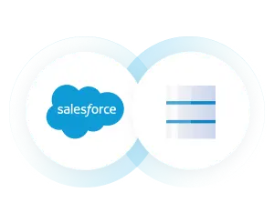 Real-Time Salesforce Data Access