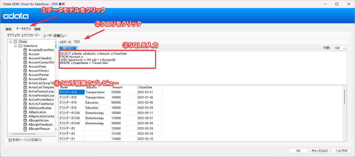 CData ODBC・JDBC ドライバーでSQLのクエリ結果をプレビューできるようになりました!