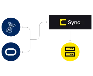SQL and Oracle