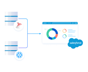 Reverse ETL