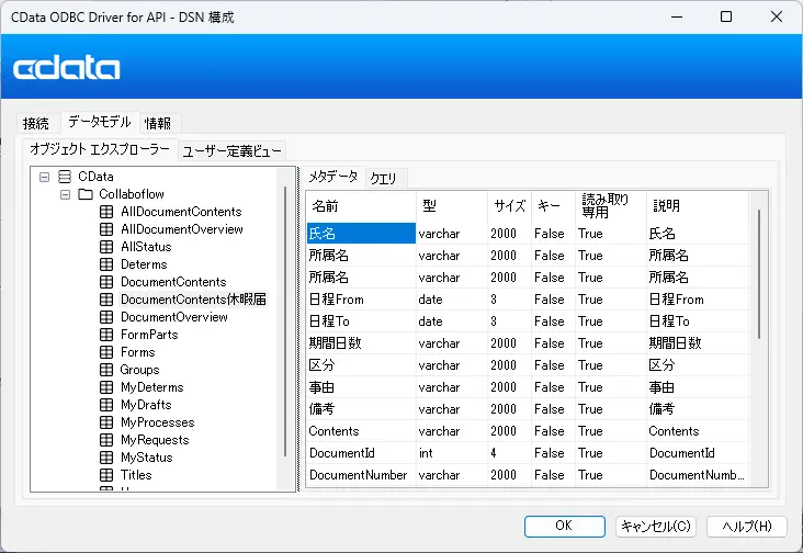 ODBC Driver for API データモデル画面 カスタムスキーマ