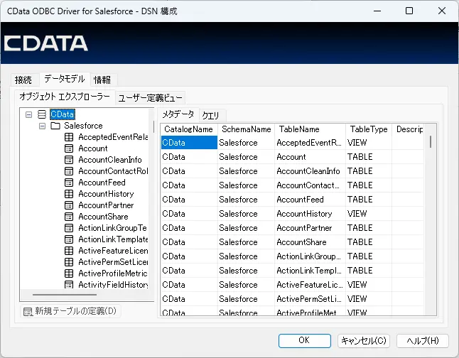 DSN 構成画面-データモデル