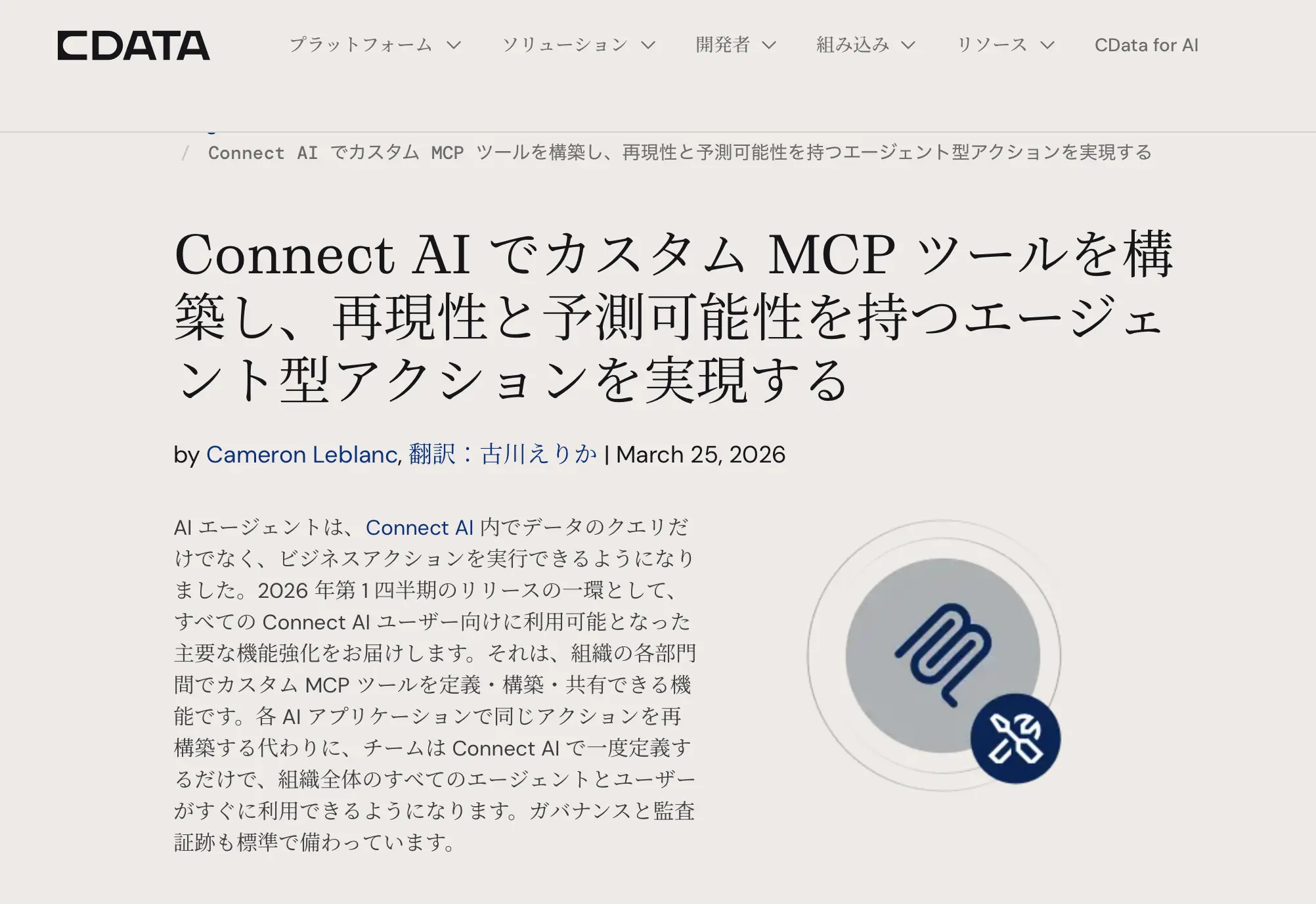 カスタム MCP ツール