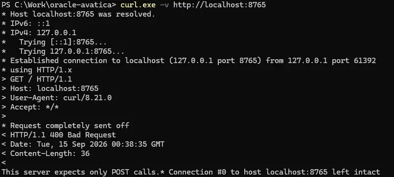 Connect AIからオンプレミスOracle DBへ接続する方法