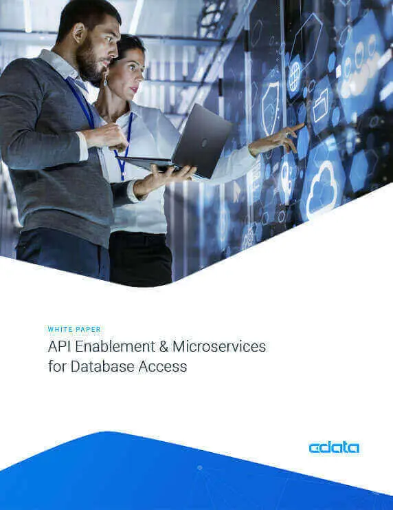 データベース接続のためのAPI 活用とマイクロサービス