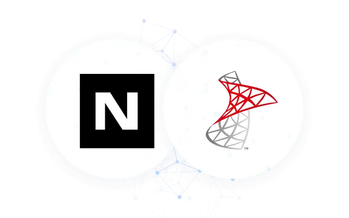 Netsuite Sqlserver