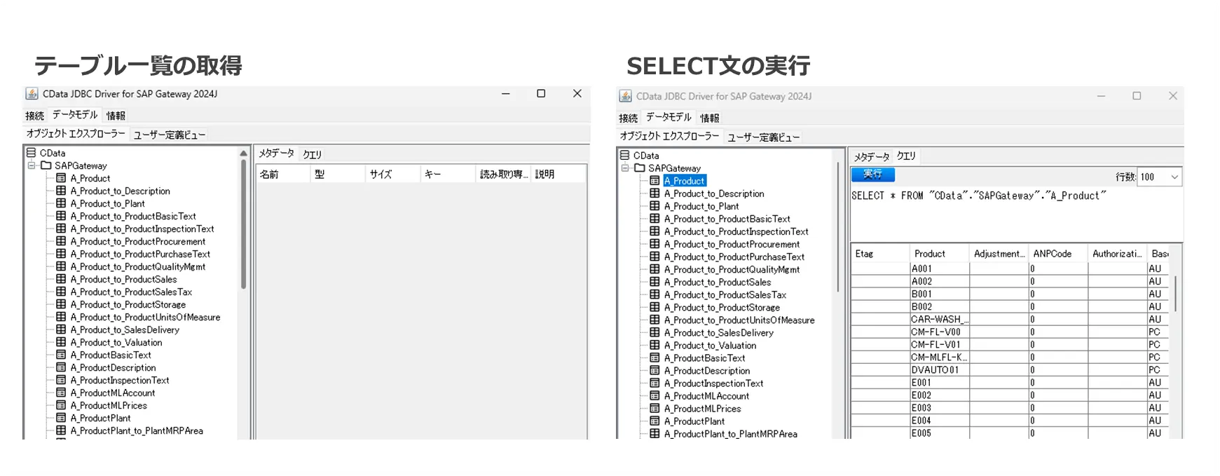 SAP S4 HANA Public CloudでODataを公開しCData SAP NetWeaver Gatewayドライバから接続する