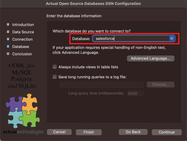 「Database」に「salesforce」を選択して、「Continue」をクリックする画面