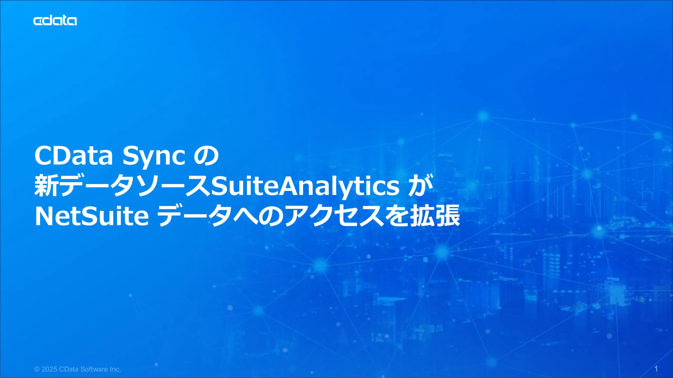 sync-suiteanalytics-netsuite-data-access