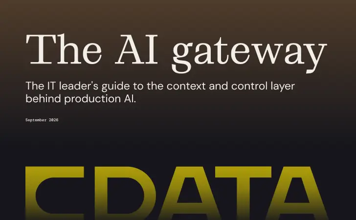 The AI Gateway Resource