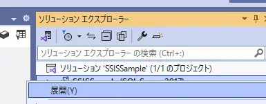 プロジェクト 展開