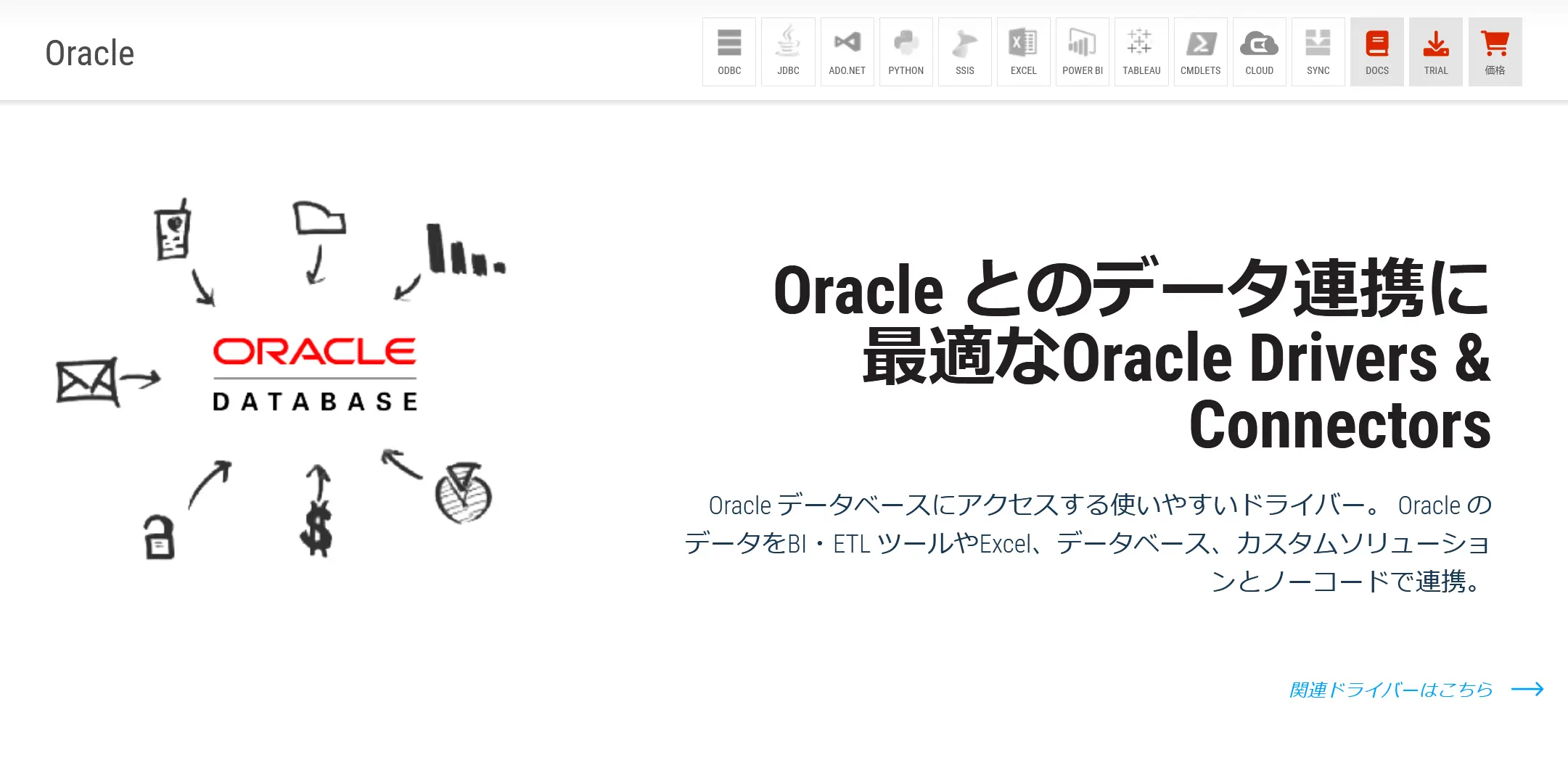 2024年人気の データソースは?人気の連携先SaaS/DB と ユースケースを一挙紹介!