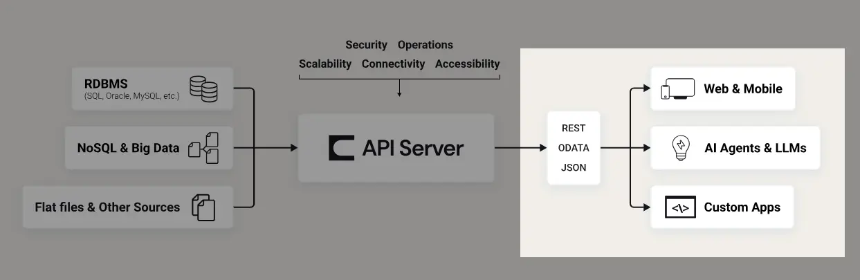Connect AI x Connect Gateway x API Server - AI からのオンプレミスデータアクセスを「よりコントローラブルに実現する」方法