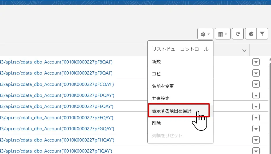 表示項目選択