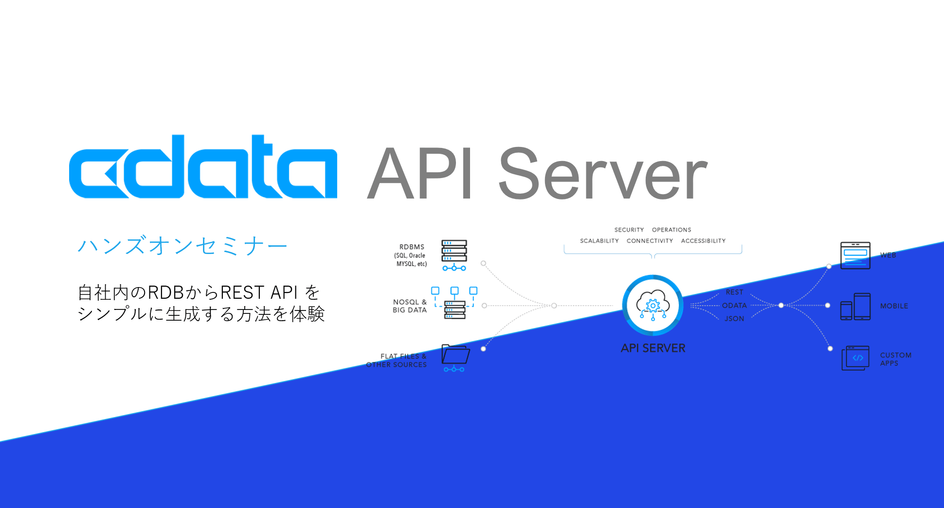 CData API Server ハンズオンセミナー資料（タイトル）