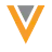 Veeva Vault