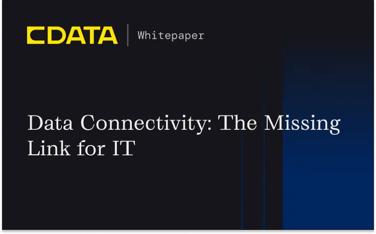 Data Connectivity: The Missing Link for IT