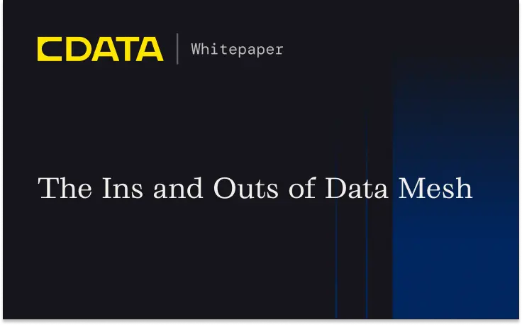 The Ins and Outs of Data Mesh