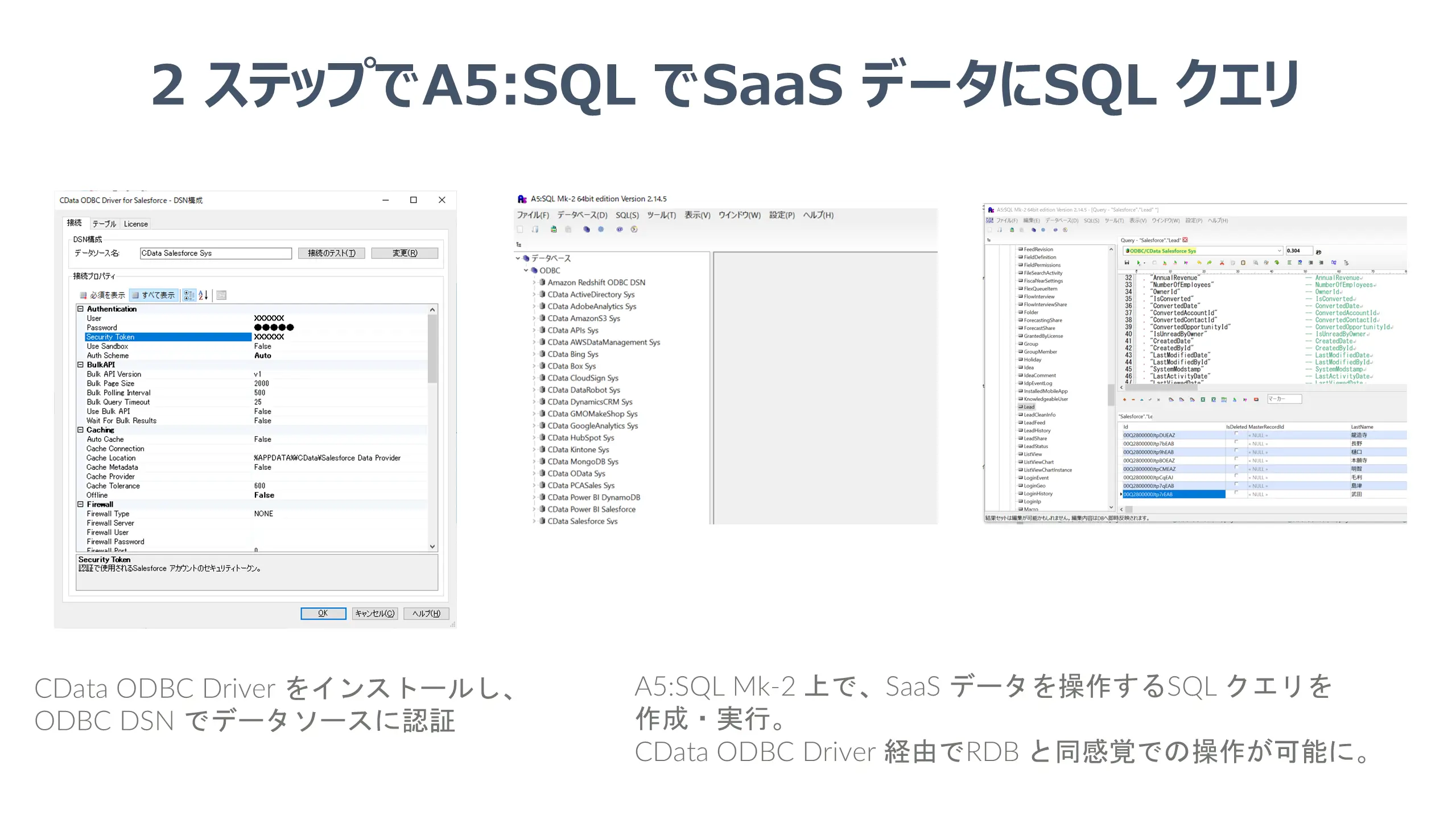 A5:SQL連携イメージ