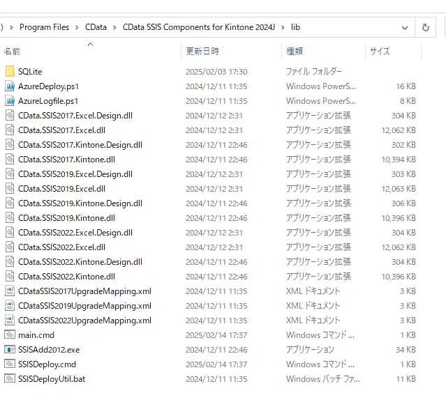 SSIS lib folder