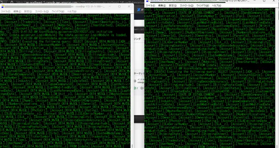 Teraterm 標準出力