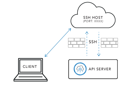  New Embedded Tunneling Support in API Server