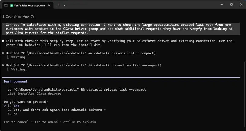 Claude Code CLI